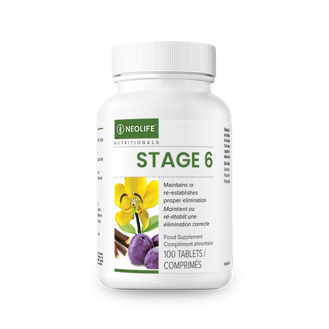 Stage 6